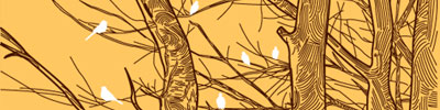 Article illustration for A blessay about Twitter
