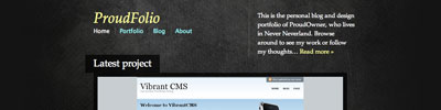 Article illustration for Introducing WooThemes; or, How you can own my WordPress theme designs