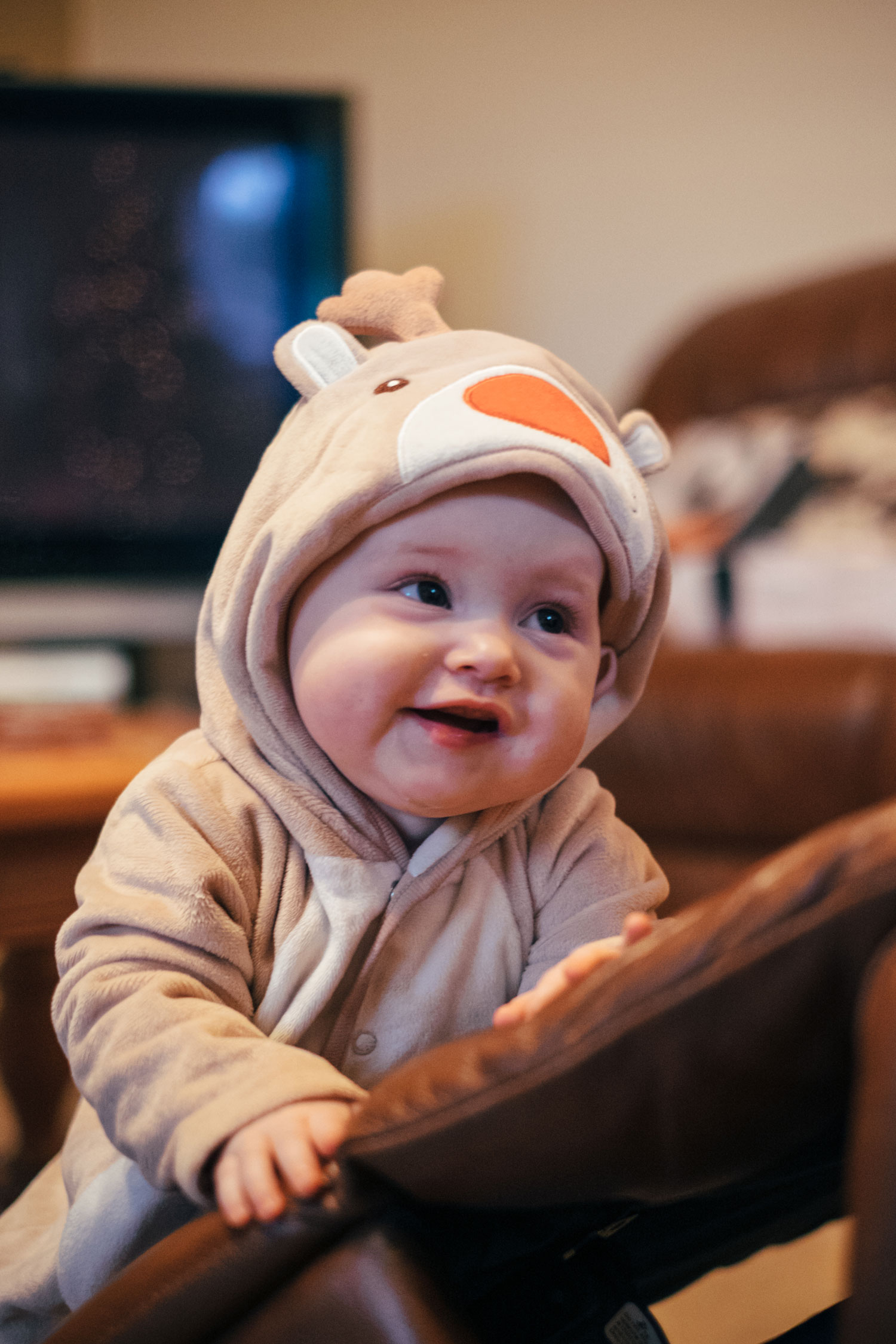 thea-header